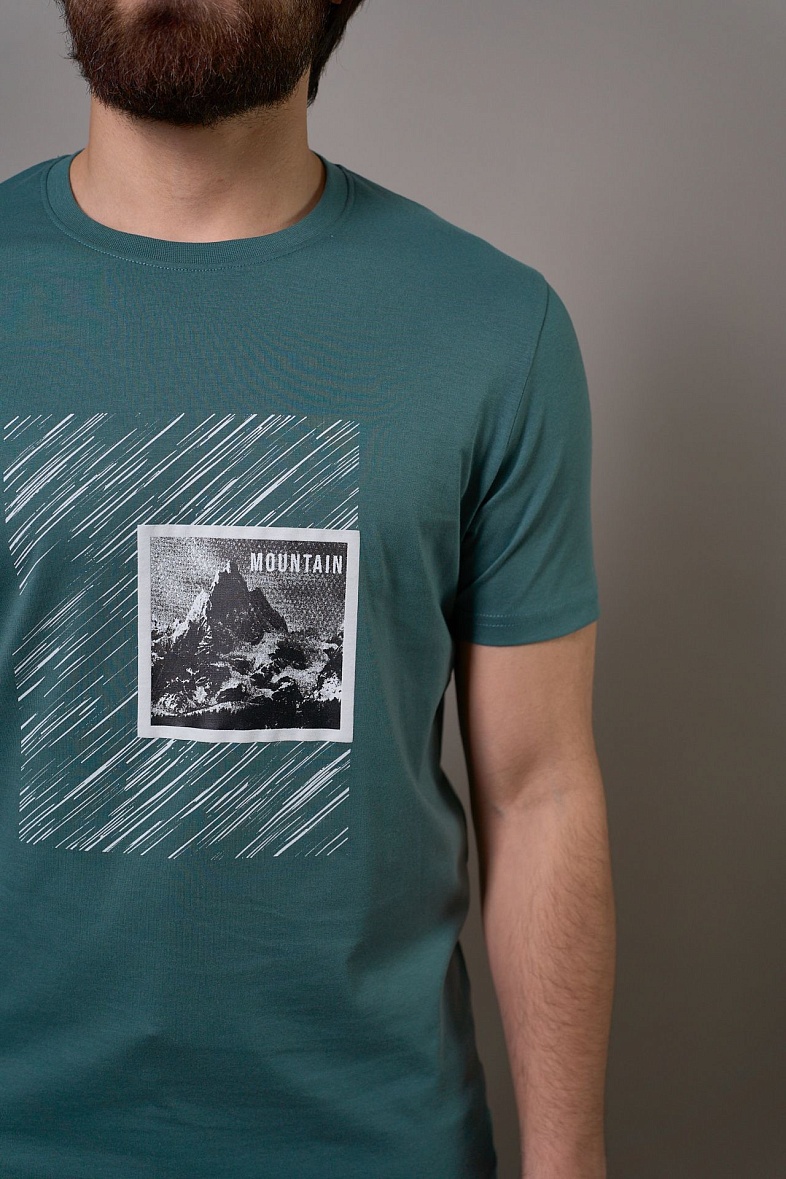 Футболка мужская цвет зеленый RAY MONSLIFE 8320 зеленый