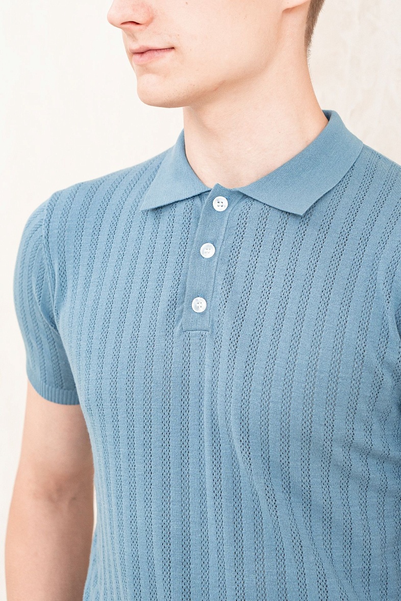 Поло мужское Р101 цвет синий DTMD (DORTMUND) JEANS