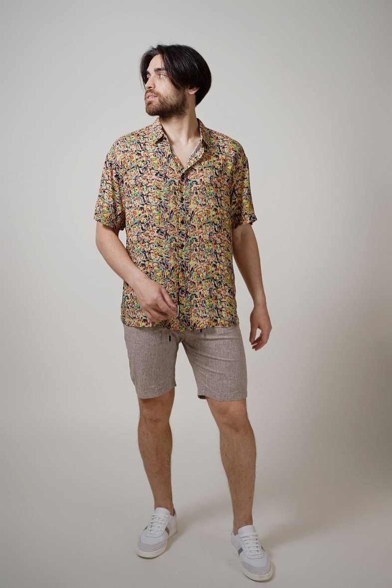 Рубашка мужская короткий рукав многоцветный no brand 8702