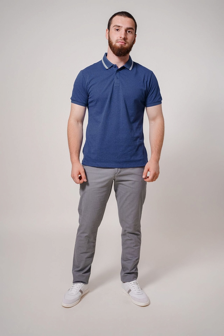 Поло мужское Р208 цвет синий DTMD (DORTMUND) NAVY